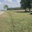 zdjęcie nr 