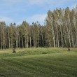 zdjęcie nr 