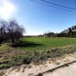 zdjęcie nr 