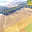 zdjęcie nr 
