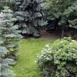 zdjęcie nr 