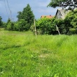 zdjęcie nr 