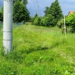 zdjęcie nr 