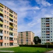 zdjęcie nr 