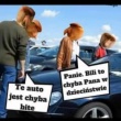 zdjęcie nr 
