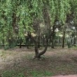 zdjęcie nr 