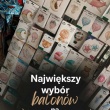 zdjęcie nr 
