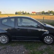 zdjęcie nr 