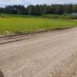 zdjęcie nr 