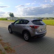 zdjęcie nr 