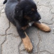 zdjęcie nr 