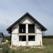 zdjęcie nr 