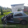 zdjęcie nr 