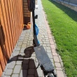zdjęcie nr 