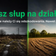 zdjęcie nr 