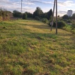 zdjęcie nr 