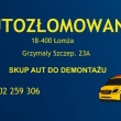 zdjęcie nr 