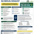 zdjęcie nr 