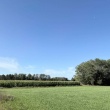 zdjęcie nr 