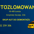 zdjęcie nr 