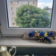 zdjęcie nr 