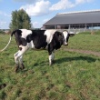 zdjęcie nr 