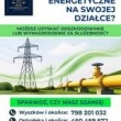 zdjęcie nr 