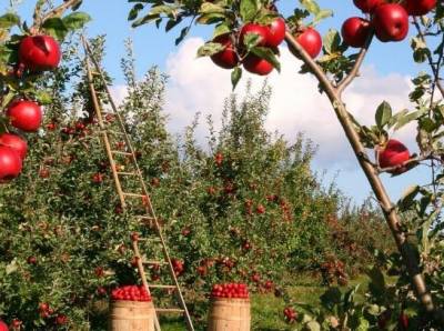 Zdjęcie: Reklama Zambrów zambrow Aktualności Zambrow