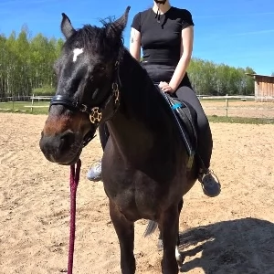 Zdjęcie: Sport Zambrowie jeździectwo konie zambrow Sport Zambrow