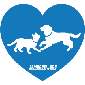Adopcja Zambrów | zambrow.org