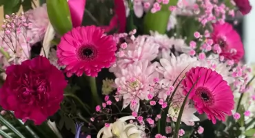 Dziś Dzień Kobiet!