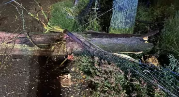 Silny wiatr narobił szkód w powiecie zambrowskim [FOTO]