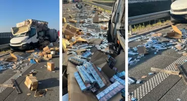Wypadek na S61: padło 7 krów, a na ulicę rozsypały się nielegalne papierosy [FOTO]
