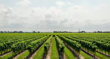 Czy Podlasie to dobre miejsce do rozpoczęcia kariery zawodowej?