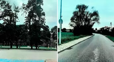 Zwisające gałęzie i uschłe drzewo stanowią zagrożenie dla pieszych i samochodów. Radny prosi o interwencję
