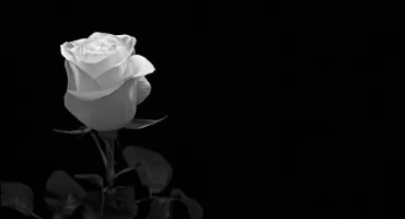 Podziękowanie za udział w ostatnim pożegnaniu