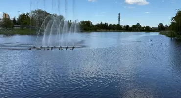 Jutro kolejne zarybianie zalewu w Zambrowie