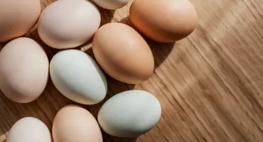 UWAGA: Te jaja są zanieczyszczone pałeczkami Salmonellai [FOTO]