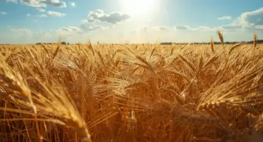 KRUS: stawki składek na ubezpieczenie rolników w I kwartale 2026 r.