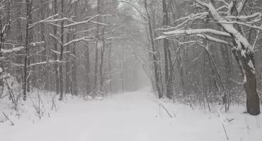 Silny mróz na początek roku