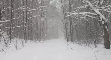 Synoptycy ostrzegają przed silnym mrozem. W nocy termometry mogą wskazać nawet -18°C