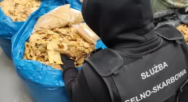 66-latek z zarzutami paserstwa akcyzowego [FOTO]