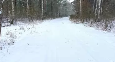 Mrozy nie ustępują. Termometry na zewnątrz mogą wskazać nawet -18°C