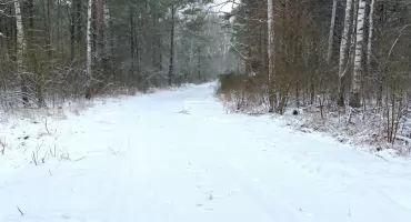 Nadchodzą rekordowe mrozy. IMGW podnosi stopień ostrzeżenia
