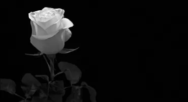 Rodzina śp. Adama Borejki dziękuje wszystkim za udział w ostatnim pożegnaniu