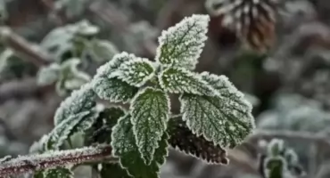 Przed nami kolejna zimna noc