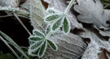 Przed nami zimna noc