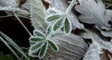 Przed nami kolejna zimna noc