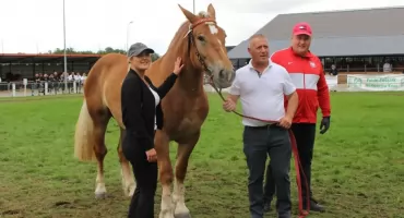 Starosta nagrodziła uczestnika IX Ogólnopolskiego Młodzieżowego Czempionatu Koni Sokólskich [FOTO]