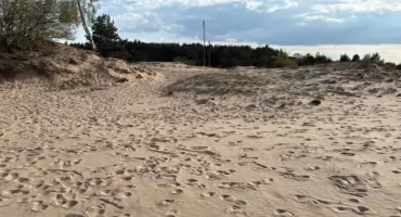 Co zobaczyć w Zambrowie w długi weekend? Poznaj okoliczne rezerwaty przyrody